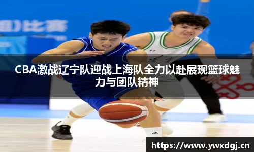 XCsportCBA激战辽宁队迎战上海队全力以赴展现篮球魅力与团队精神